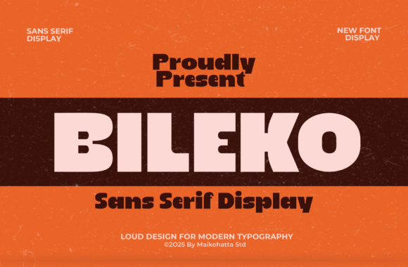 Understanding Bileko: A Bold and Modern Sans-Serif Display Font